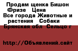 Продам щенка Бишон Фризе › Цена ­ 30 000 - Все города Животные и растения » Собаки   . Брянская обл.,Сельцо г.